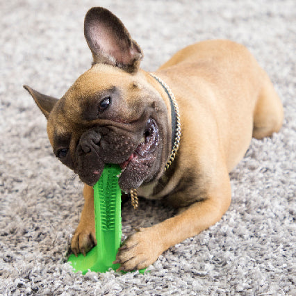 360-Degree Silicone Dog Toothbrush: The Ultimate Dental Care Solution for Your Pet
