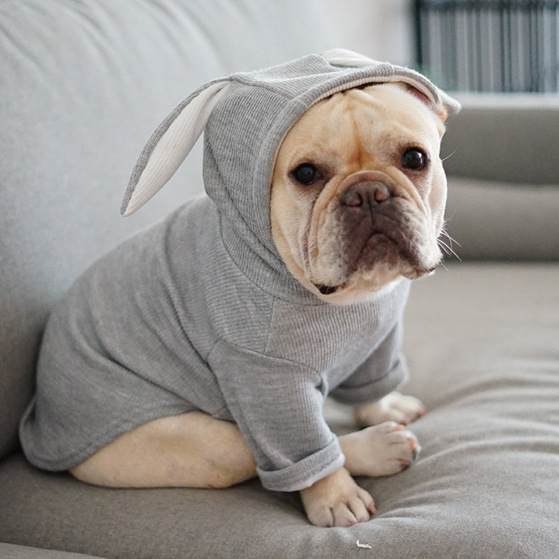 Seasonal Comfort Sweater for Dogs: Elevate Your Pet's Style and Comfort