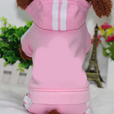 British-Style Four-Legged Pet Apparel: The Ultimate Comfort and Style for Your Furry Friend