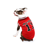 World Cup Inspired Dog Vest: A Sporty Summer Essential for Your Pet