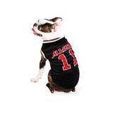 World Cup Inspired Dog Vest: A Sporty Summer Essential for Your Pet